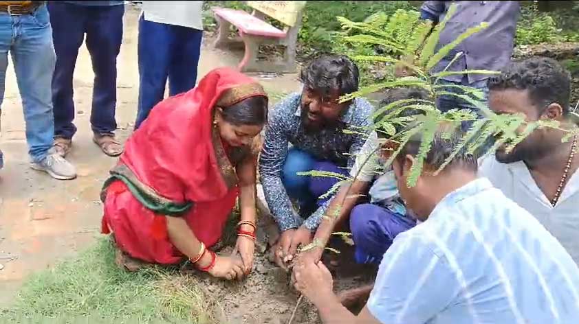 पर्यावरण संरक्षण के अवसर पर प्रखंड परिसर में हुआ वृक्षारोपण